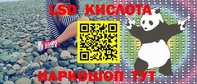 гидра Краснодар
